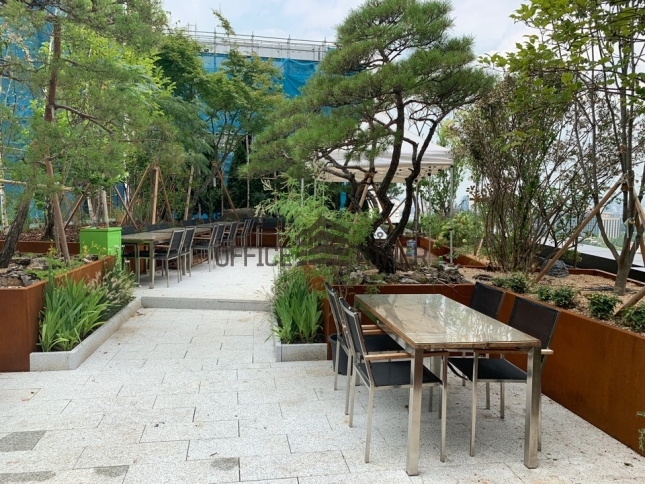 사진9