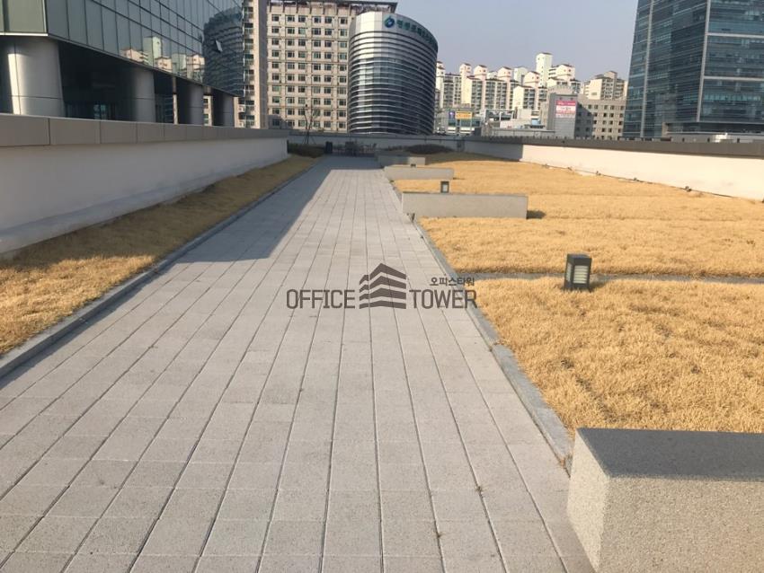 사진8