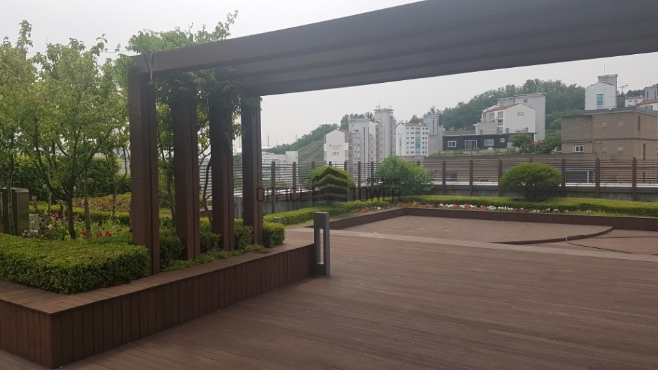 사진7